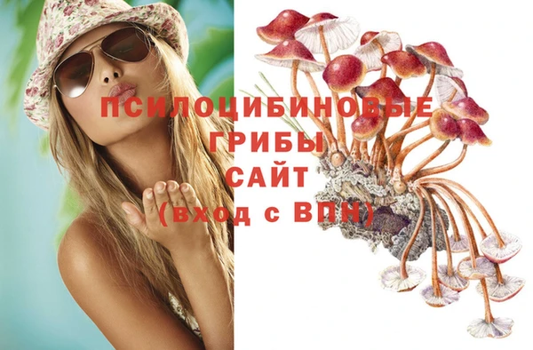 спиды Алзамай